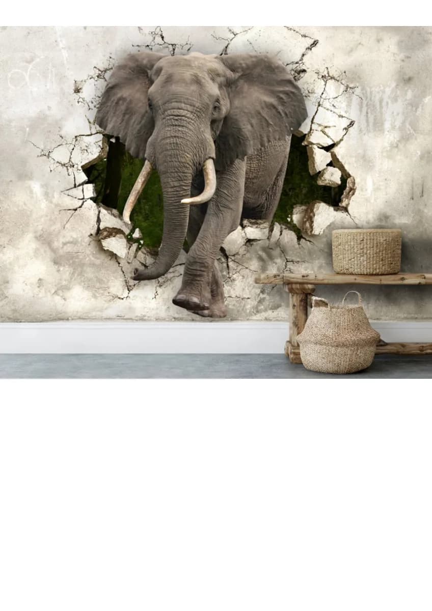 MD Wall Mural Series 9 — Design 11 — image 1 of 1