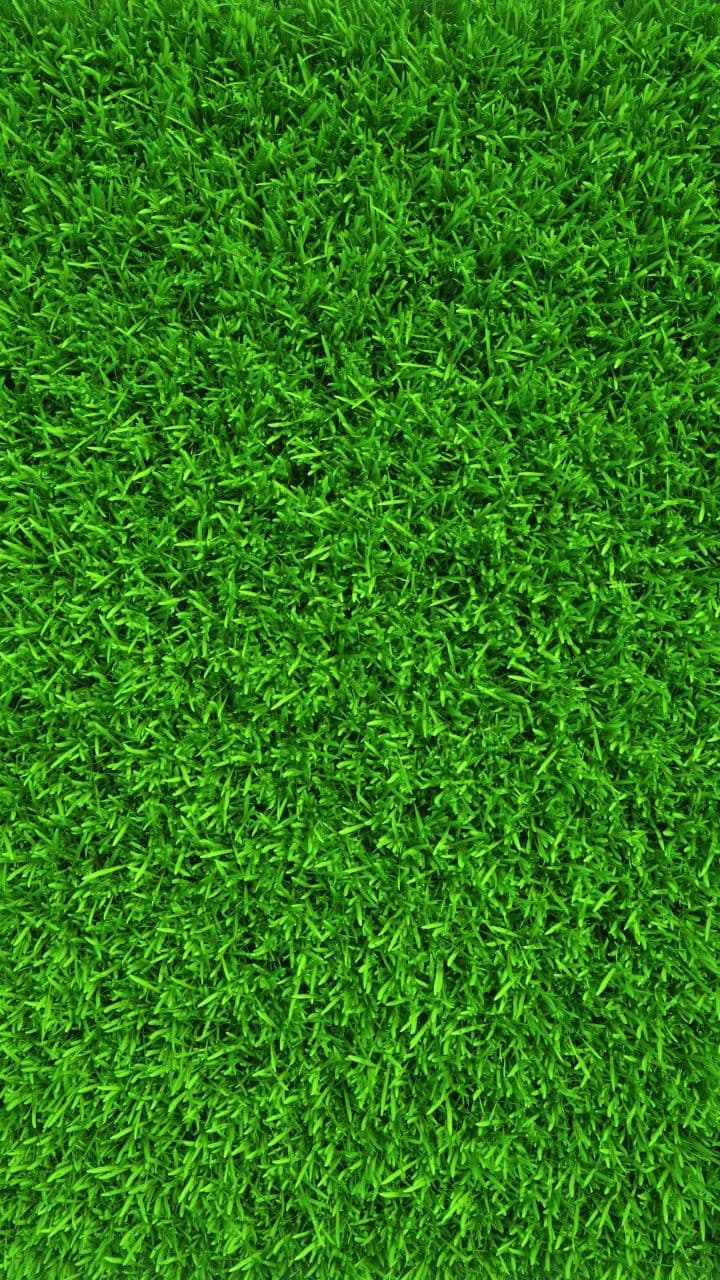 Artificial Grass Landscape Turf — Design 10 — image 1 of 1