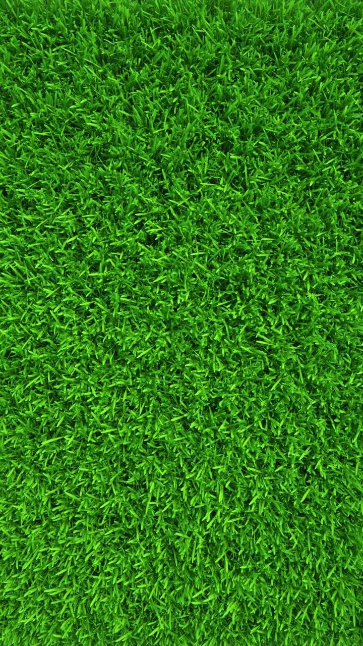 A curved lawn edging in artificial turf, the boundary between grass and hardscape softened by a radius.